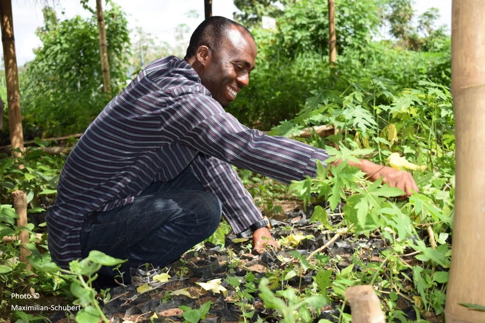 Lawrence Afere in his Springboard farm