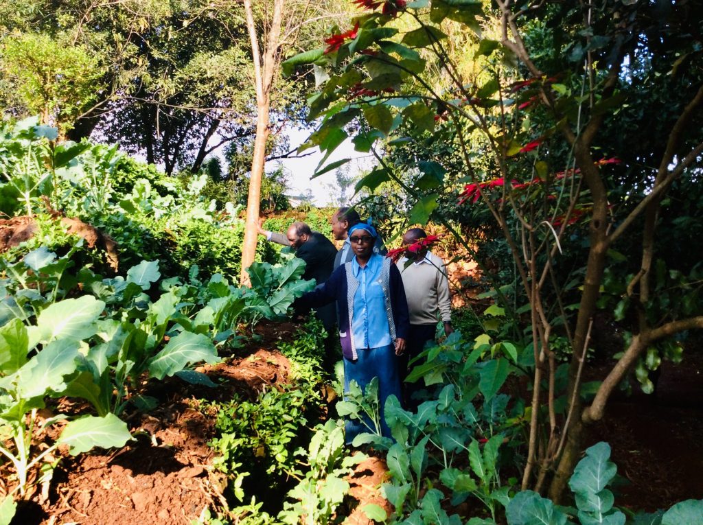 John, right side, shows how his organic crops flourish