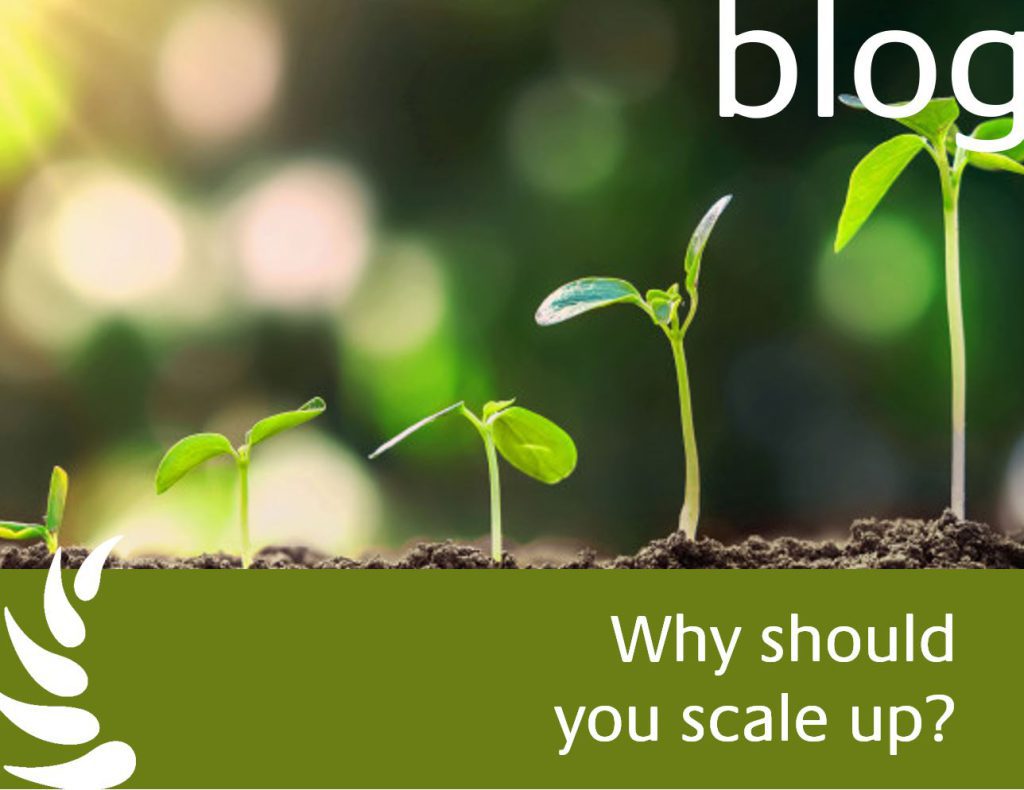 Why should you scale up?