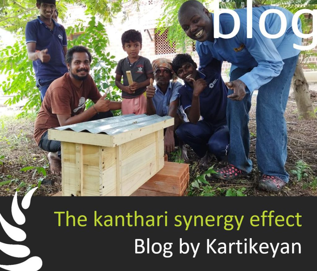The kanthary Synergy effect
