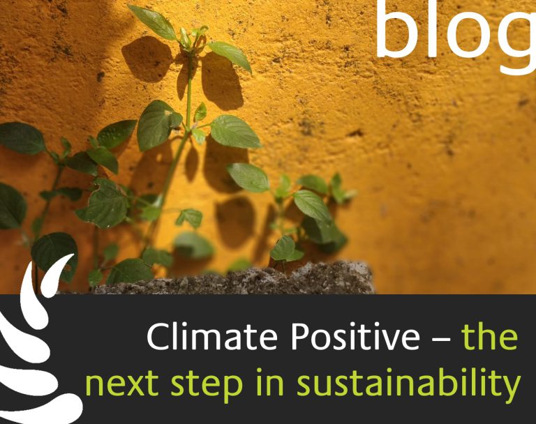 Climate positive - the next step in sustainability