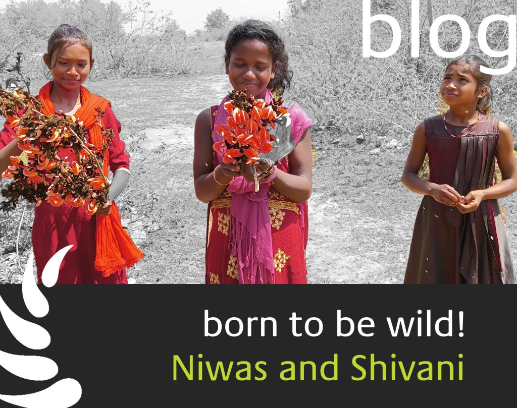 born to be wild - Shivani and Niwas