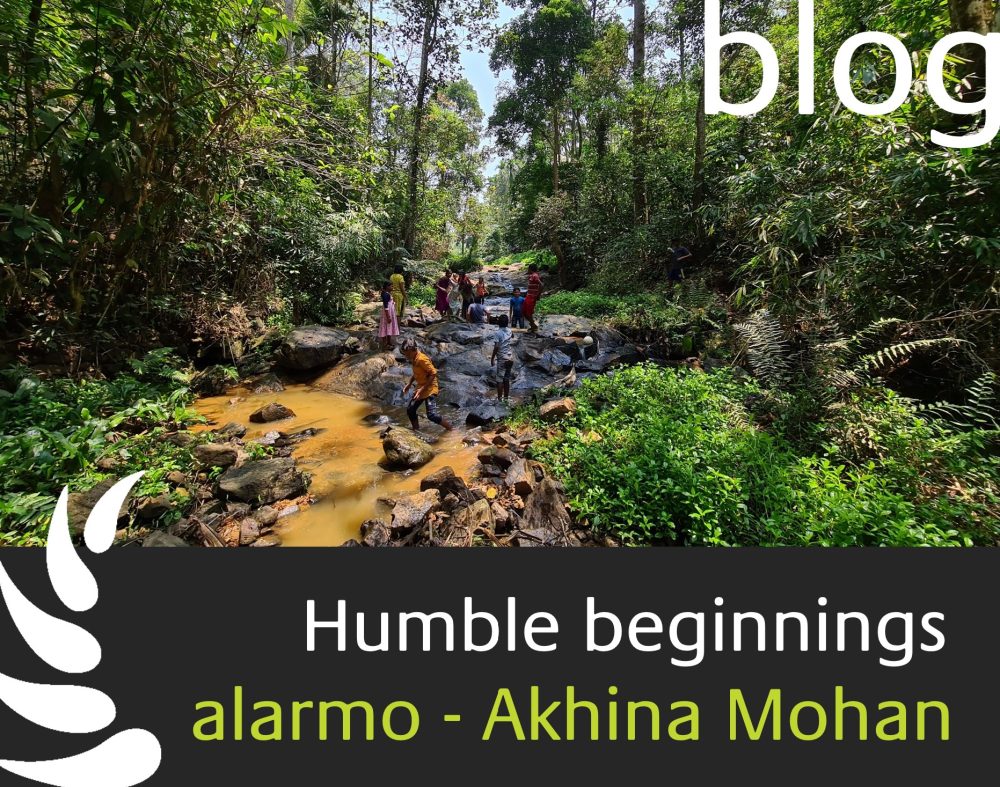 humble beginnings - alarmo summer camp shows children in a stream in the forest