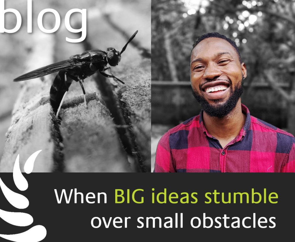 When big ideas stumble over small obstacles