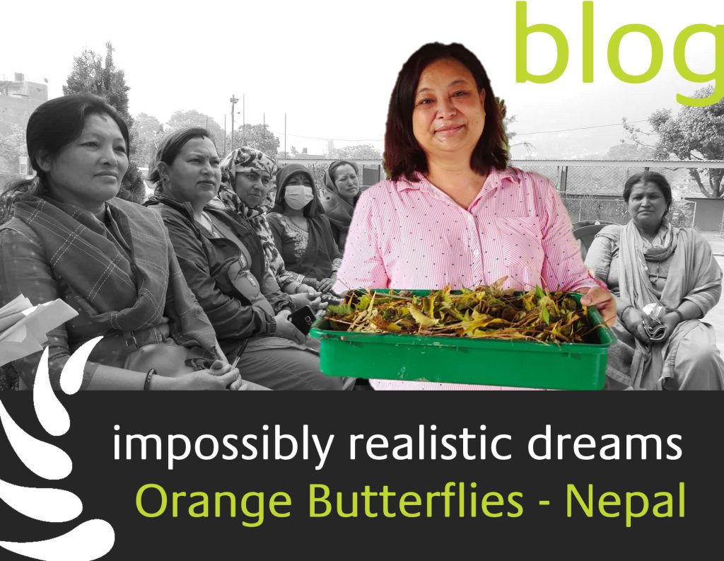 Impossibly realistic dreams - orange butterflies nepal