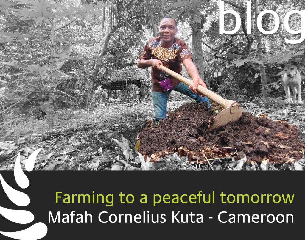 Farming to a peaceful tomorrow - Mafah Cornelius Kuta