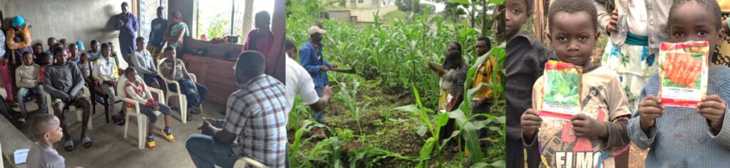 Peacecrops activities in Cameroon