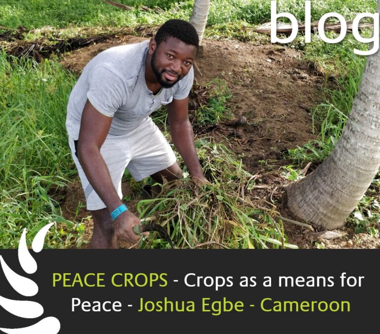 Peace Crops - Crops as a means for peace in Cameroon