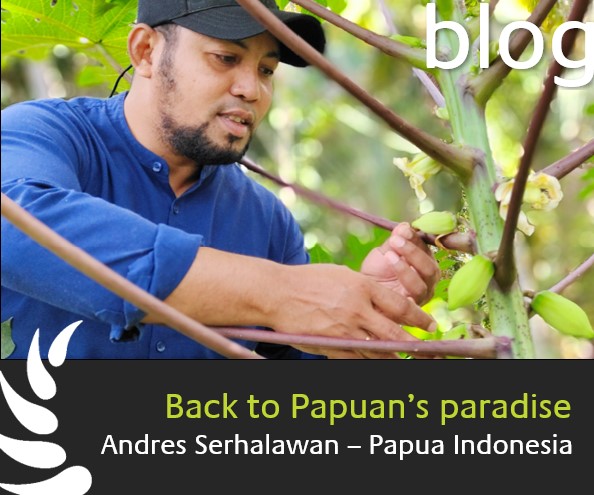 Back to Papuan's paradise by Andre Serhalawan