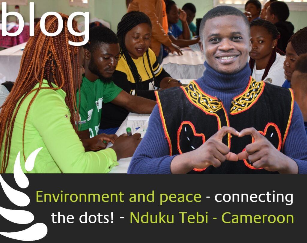 Environment and peace - connecting the dots! - Nduku Tebi - Cameroon