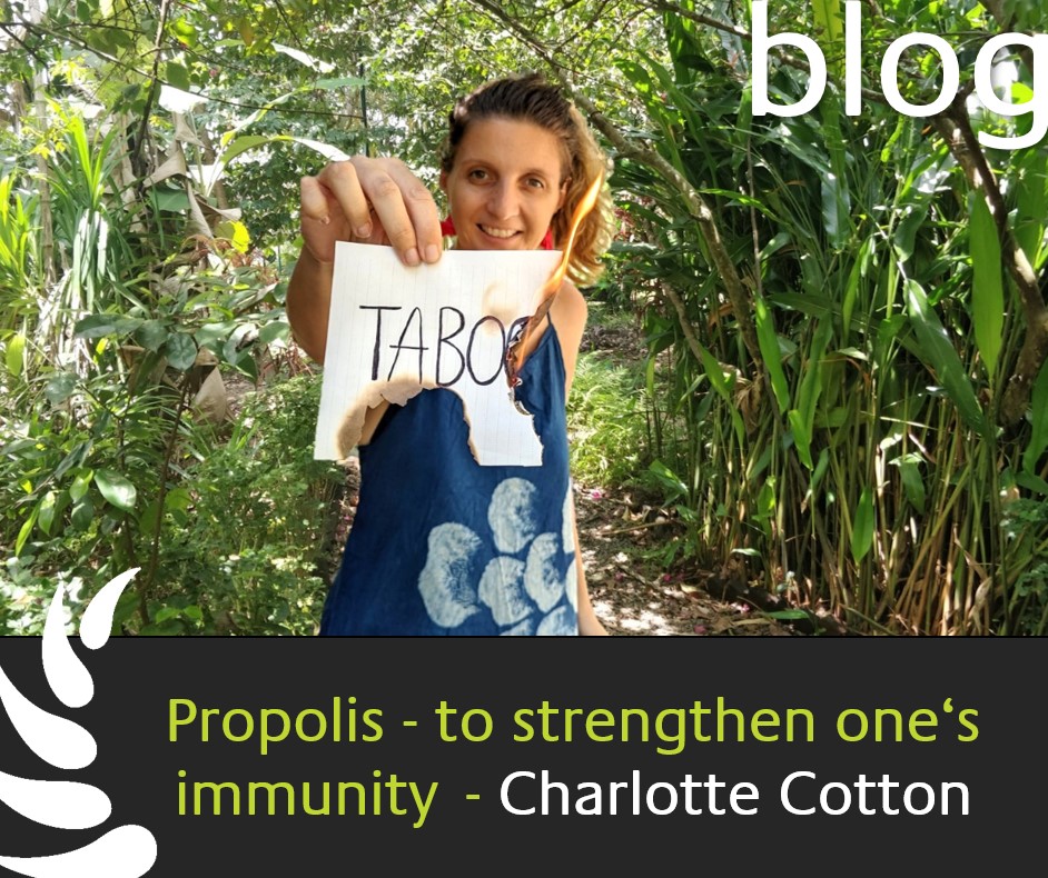 Propolis - to strengthen one's immunity - Charlotte cotton