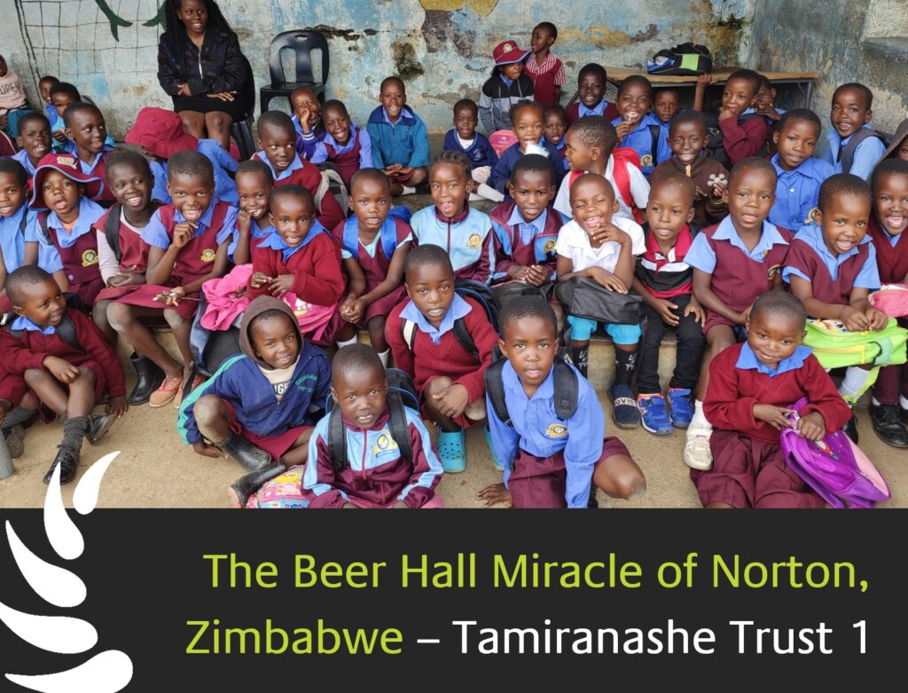 The Beer Hall Miracle of Norton, Zimbabwe – Tamiranashe Trust 1
