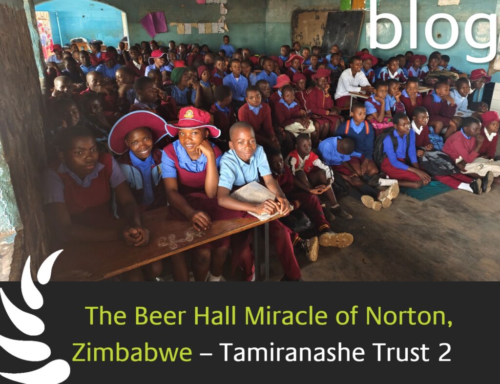 The Beer Hall Miracle of Norton, Zimbabwe – Tamiranashe Trust part 2