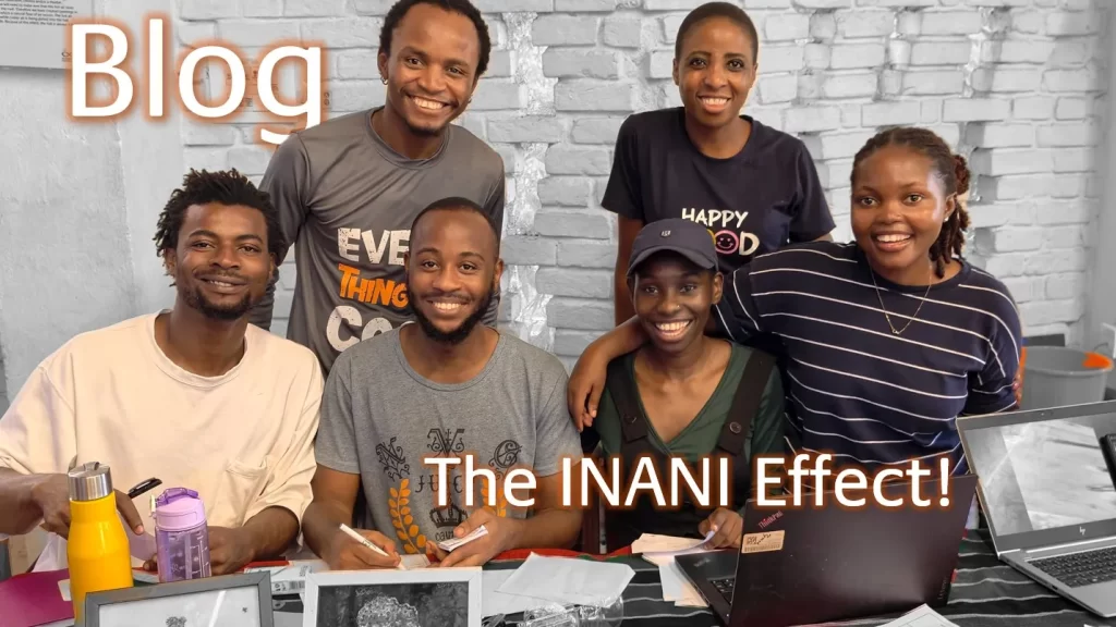 Blog - The Inani Effect