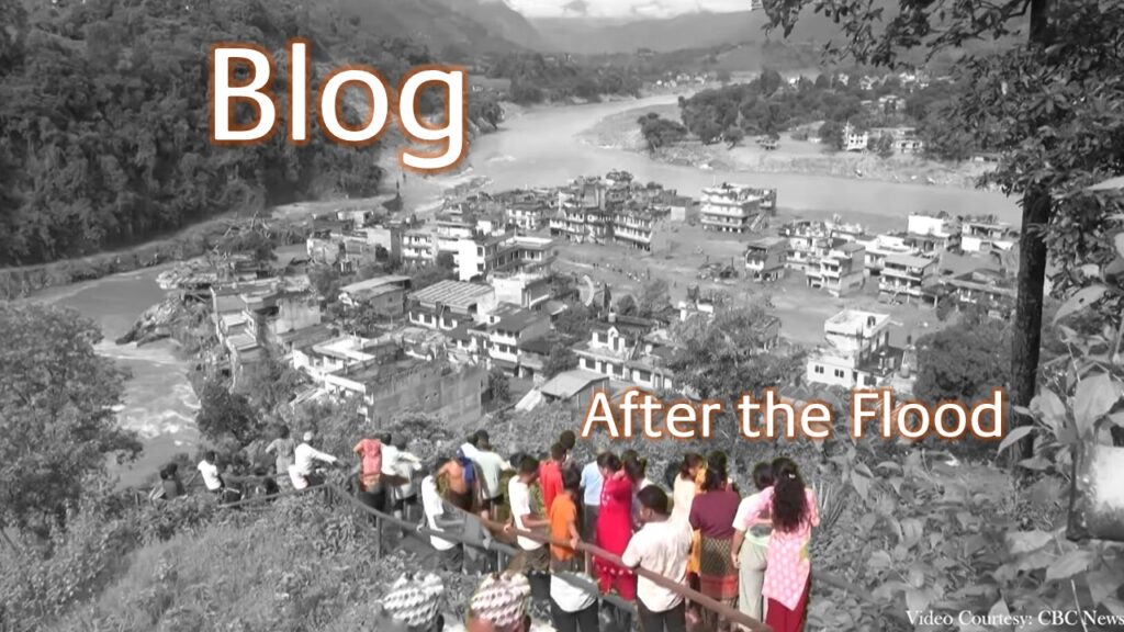 Blog - After the Flood