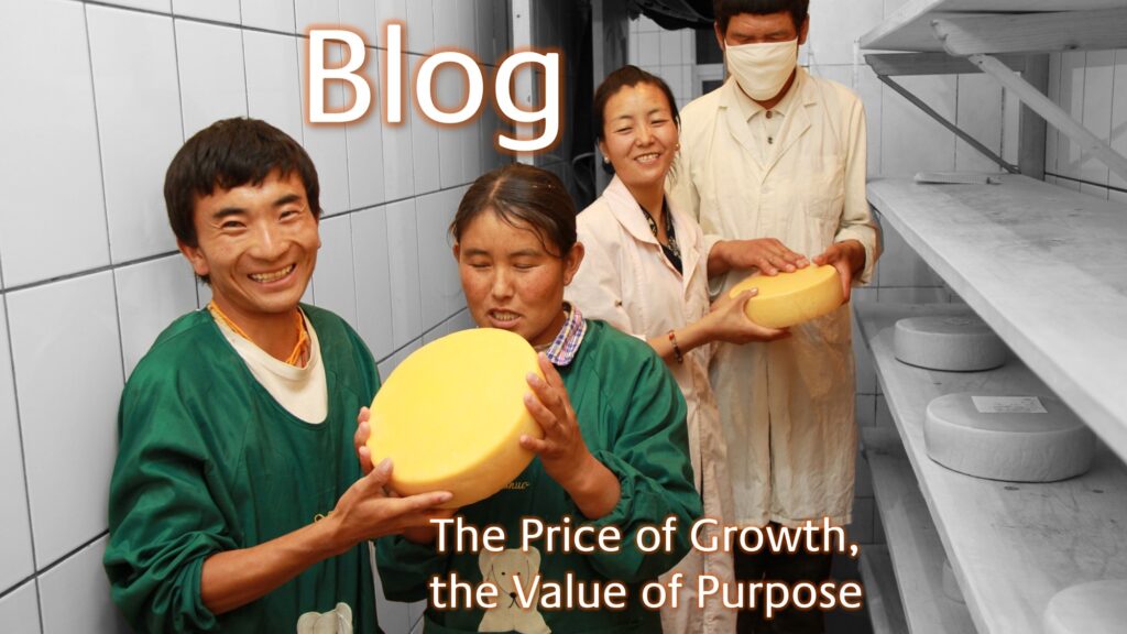 The Price of Growth, the Value of Purpose